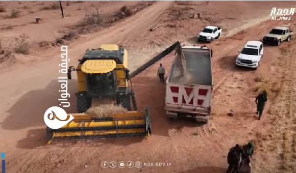 المدير التنفيذي للجهاز الوطني للتنمية يتفقد حصاد المشاريع الزراعية جنوبًا 3 المدير التنفيذي للجهاز الوطني للتنمية يتفقد حصاد المشاريع الزراعية جنوبًا - psd elenwan 37
