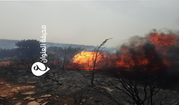 الشرطة الزراعية تضبط المتهم المتسبب في اندلاع حرائق فرزوغة 