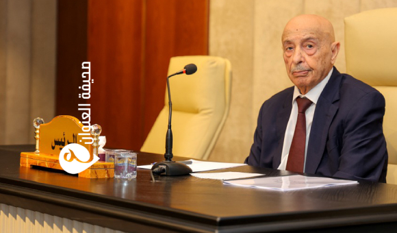 المستشار صالح يرحب بحكم المحكمة العليا بشأن رئاسة "الأعلى للدولة" - psd elenwan 77