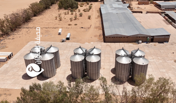 الوطني للتنمية يزور مشاريع زراعية استراتيجية بوادي عتبة لدعم الأمن الغذائي في الجنوب - psd elenwan 11 1