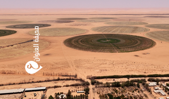 الوطني للتنمية يزور مشاريع زراعية استراتيجية بوادي عتبة لدعم الأمن الغذائي في الجنوب - psd elenwan 5 2