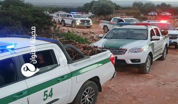 الشرطة الزراعية تضبط مخالفين لقطع الغابات بالحنية 