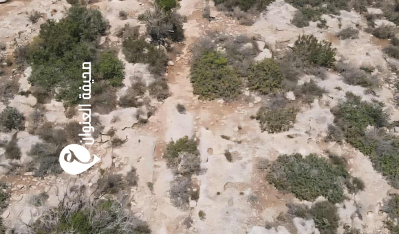 مصلحة الآثار تعلن اكتشاف طريق رومانية قديمة بين المرج وطلميثة - psd elenwan 10 1