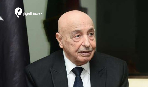 المستشار صالح: البرلمان وحده المخوّل بإقرار الاتفاقيات الدولية - psd elenwan 2 12