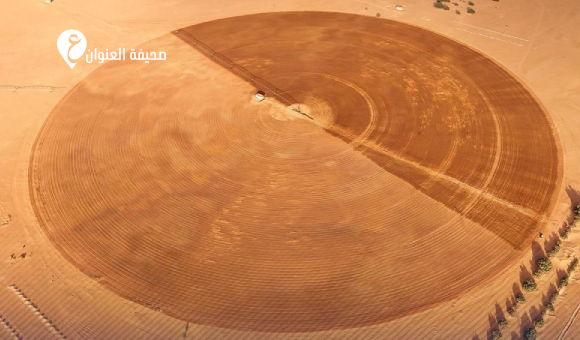 القيادة العامة تقود نهضة زراعية متكاملة في الجنوب - psd elenwan 2025 12 22T111919.202