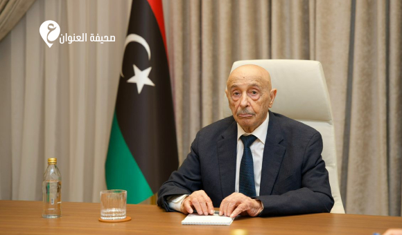 المستشار صالح يرحب بنجاح الانتخابات البلدية ويؤكد دعم المسار الديمقراطي واللامركزية - psd elenwan 28