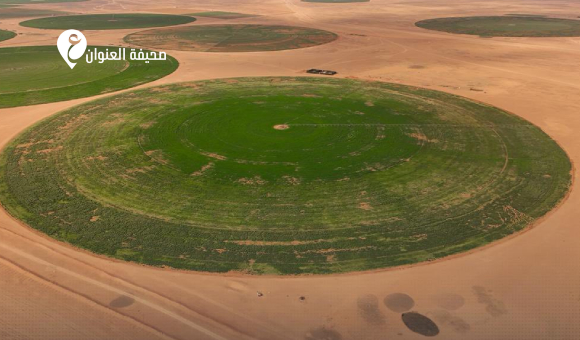 استمرار تنفيذ مشروع غدوة الزراعي لتعزيز الأمن الغذائي - psd elenwan 37