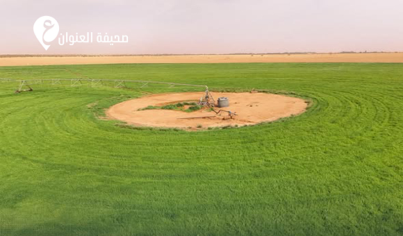 تقدم أعمال مشروع الويغ الزراعي بالقطرون - psd elenwan 6 3