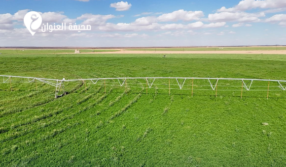 مشاهد من دوائر الدبوات الزراعي - psd elenwan 2026 03 16T161106.290