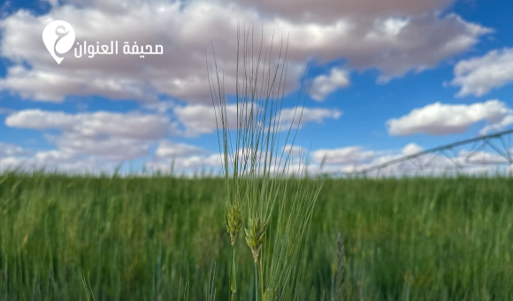 مشاهد من دوائر الدبوات الزراعي - psd elenwan 2026 03 16T161127.002