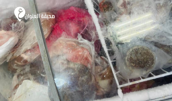 رصد مخالفات صحية وإعدام لحوم فاسدة في جنزور - psd elenwan 2026 04 02T141250.968