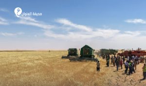 انطلاق الحصاد بمشروع برجوج الزراعي - psd elenwan 4 10