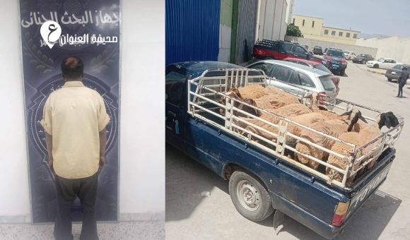 ضبط وافد في الجبل الأخضر بتهمة سرقة أغنام بقيمة 35 ألف دينار - psd elenwan 50