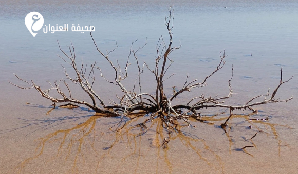 "الغليان العالمي" يطرق الأبواب.. هل تتأثر ليبيا بظاهرة النينيو ؟