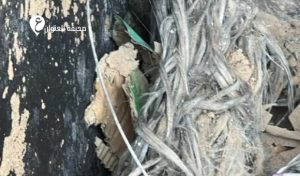 هاتف ليبيا تعلن تعرض الغرفة الرئيسية للاتصالات بالمنطقة الغربية للتخريب 5 هاتف ليبيا تعلن تعرض الغرفة الرئيسية للاتصالات بالمنطقة الغربية للتخريب - psd elenwan 1 13