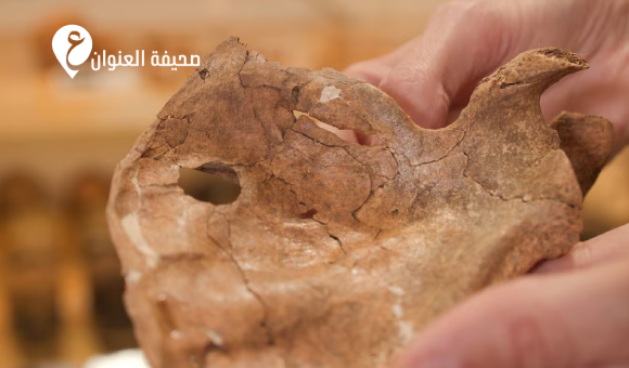"نياندرتال".. طعنة تكشف أسرار الماضي بالعراق - psd elenwan 2026 10 16T193656.199